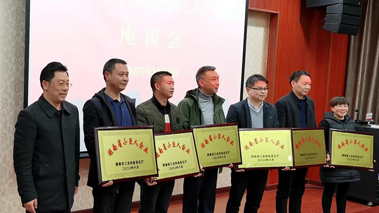 喜大普奔！炬神電子被評(píng)為湖南省“小巨人”企業(yè)